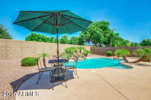 10250 E Lakeview Ave, Mesa, AZ 85209 photo 41