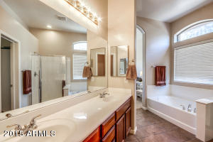 10250 E Lakeview Ave, Mesa, AZ 85209 photo 28