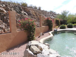 16625 S 2nd Pl, Phoenix, AZ 85048 photo 23