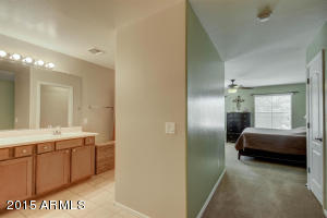 10054 E Impala Ave, Mesa, AZ 85209 photo 22
