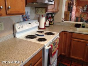 1635 E Impala Ave, Mesa, AZ 85204 photo 50