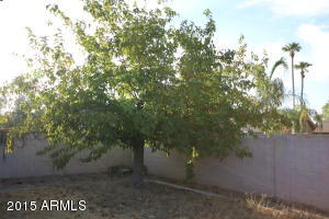 2706 E Sylvia St, Phoenix, AZ 85032 photo 22