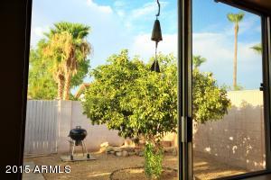 2706 E Sylvia St, Phoenix, AZ 85032 photo 8