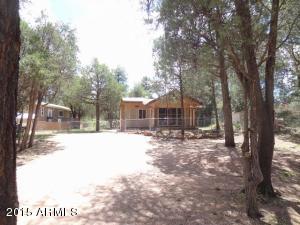 303 Eidelweiss Cir, Payson, AZ 85541 photo 19