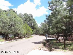 303 Eidelweiss Cir, Payson, AZ 85541 photo 16