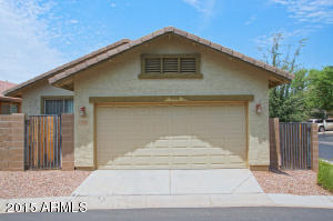 3773 E Larson Ln, Gilbert, AZ 85295 photo 20