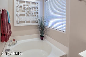 2669 E Sherri Dr, Gilbert, AZ 85296 photo 28
