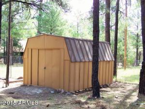 2853 Pine Rim Rd, Overgaard, AZ 85933 photo 26