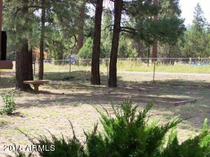 2853 Pine Rim Rd, Overgaard, AZ 85933 photo 31