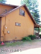 2853 Pine Rim Rd, Overgaard, AZ 85933 photo 34