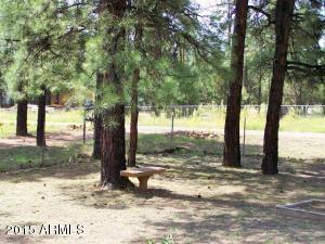 2853 Pine Rim Rd, Overgaard, AZ 85933 photo 29