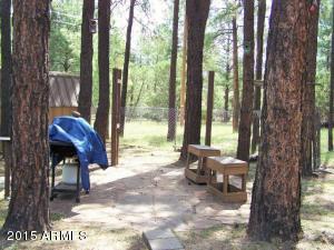 2853 Pine Rim Rd, Overgaard, AZ 85933 photo 28