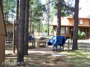 2853 Pine Rim Rd, Overgaard, AZ 85933 photo 27
