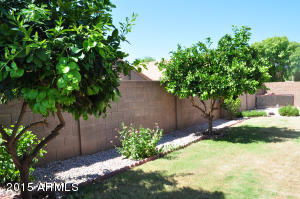 6911 E Lakeview Ave, Mesa, AZ 85209 photo 3