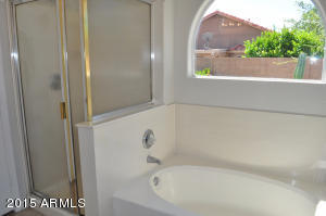 6911 E Lakeview Ave, Mesa, AZ 85209 photo 24