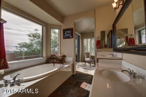 7823 E Red Hawk Cir, Mesa, AZ 85207 photo 29