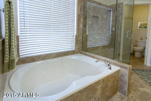 1349 W Clear Spring Dr, Gilbert, AZ 85233 photo 16