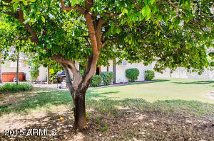 450 E Barbara Dr, Tempe, AZ 85288 photo 37