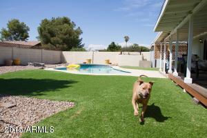 956 S 33rd Pl, Mesa, AZ 85204 photo 19