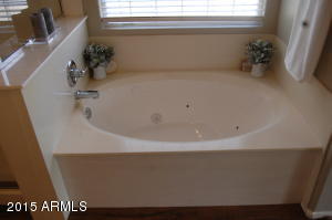 3373 E Clark Dr, Gilbert, AZ 85297 photo 69