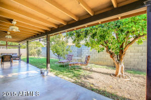 805 E Todd Dr, Tempe, AZ 85283 photo 42