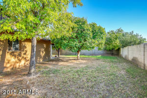 805 E Todd Dr, Tempe, AZ 85283 photo 15
