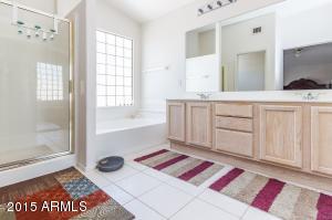 2445 S Augustine Cir, Mesa, AZ 85209 photo 16