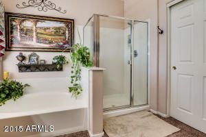 2089 E Victor Rd, Gilbert, AZ 85296 photo 52
