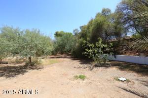 2851 E Mission Ln, Phoenix, AZ 85028 photo 29