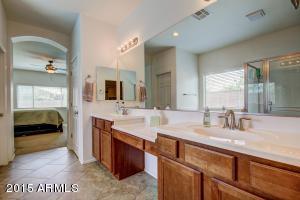 2767 E Ficus Way, Gilbert, AZ 85298 photo 19
