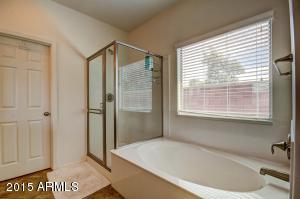 2767 E Ficus Way, Gilbert, AZ 85298 photo 18