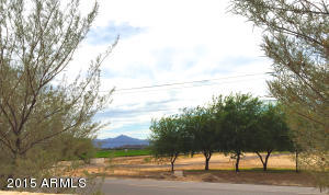 8312 S 18th Ln, Phoenix, AZ 85041 photo 46
