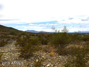 8312 S 18th Ln, Phoenix, AZ 85041 photo 54