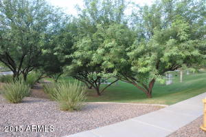 3853 E Trigger Way, Gilbert, AZ 85297 photo 19