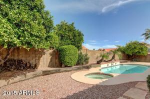 2647 N Roca --, Mesa, AZ 85213 photo 41