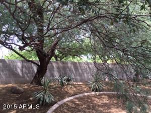 1851 E Megan St, Gilbert, AZ 85295 photo 27