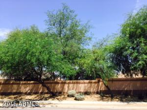 1851 E Megan St, Gilbert, AZ 85295 photo 38