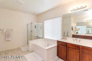 10848 E Reginald Ave, Mesa, AZ 85212 photo 14