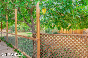 1541 E Cinnabar Ave, Phoenix, AZ 85020 photo 22