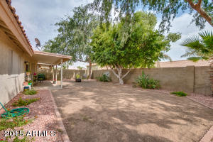 4555 E Charleston Ave, Phoenix, AZ 85032 photo 39