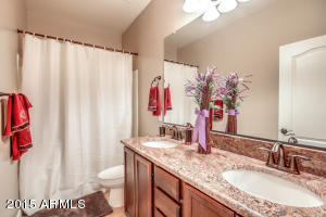 4011 E Walter Way, Phoenix, AZ 85050 photo 39