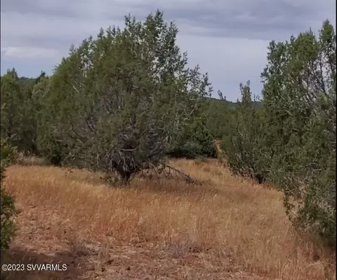 0 W Layne Paulson Dr, Seligman, AZ 86337
