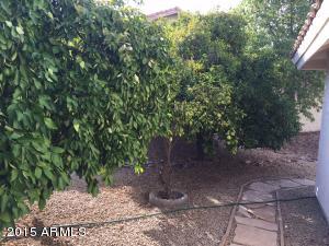 4524 E Annette Dr, Phoenix, AZ 85032 photo 25