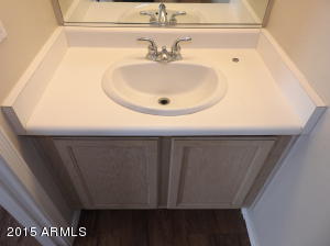 1817 S 63rd Dr, Phoenix, AZ 85043 photo 8