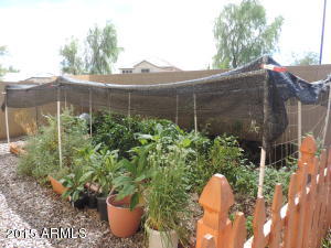 3872 E Cloudburst Dr, Gilbert, AZ 85297 photo 9