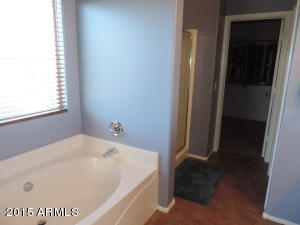 3872 E Cloudburst Dr, Gilbert, AZ 85297 photo 28