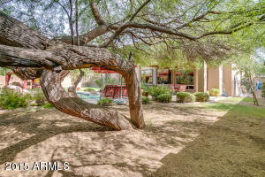 4030 E Pullman Rd, Cave Creek, AZ 85331 photo 80
