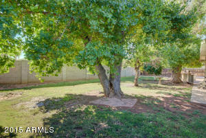 3423 N 35th Pl, Phoenix, AZ 85018 photo 23
