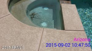 4296 E Carriage Way, Gilbert, AZ 85297 photo 52