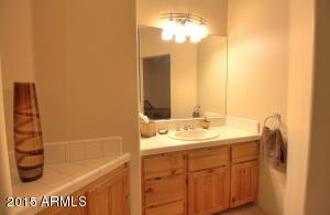 3915 E Juniper Cir, Mesa, AZ 85205 photo 64